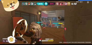 我与老虎的斗智斗勇