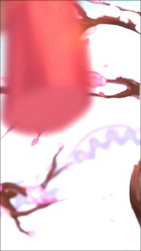 ★符华，生日快乐！★