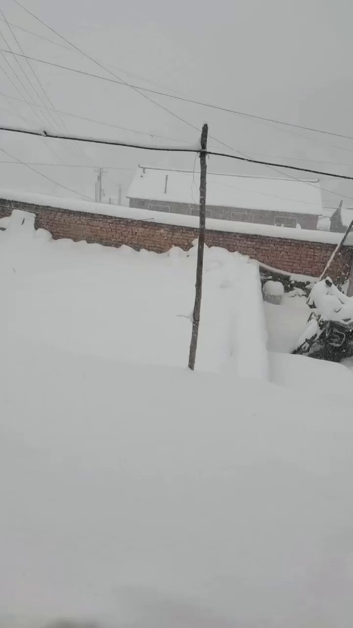 下雪了终于不热了截图