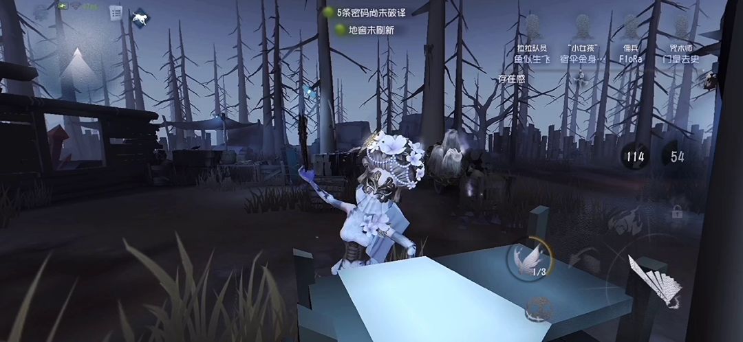 video-4080644