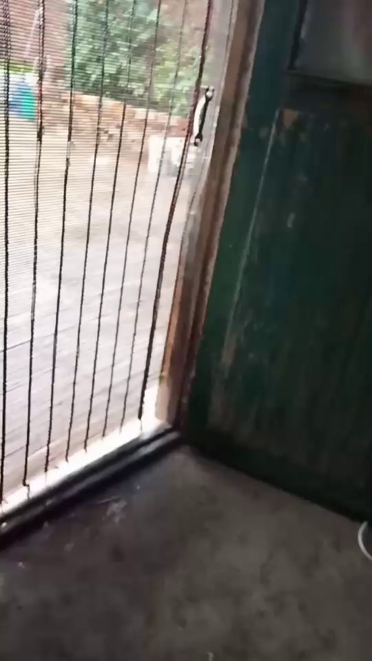 芜湖截图