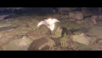 多张图片+正文+换行+视频+论坛