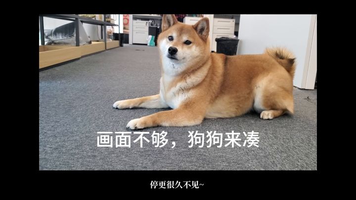 公测前我们决定再做一个新功能!截图