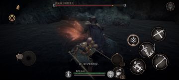 全无/禁闪避/禁弹反/一周目珍妮与蔷薇