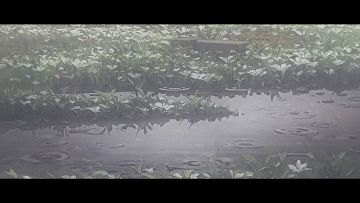 离雷亚音游《花雨旋律》国服上线还有十一天...