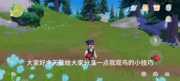 观鸟 6 级前攻略