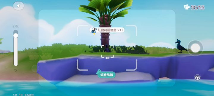 观鸟赚的少,但架不住就是这么简单省事!截图