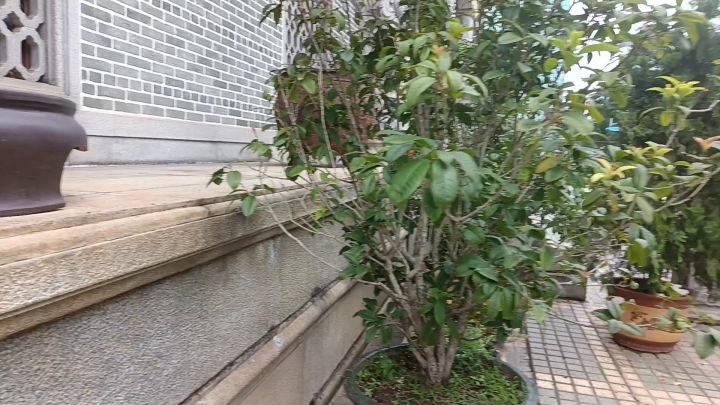 运镜大烂炖无编辑,纯正营养😙截图