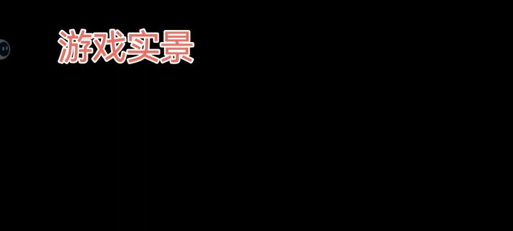 有Bug截图