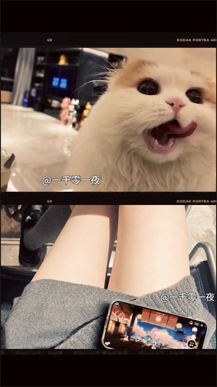 一区 一千零一夜 欢迎各位帅哥美女大驾光临截图