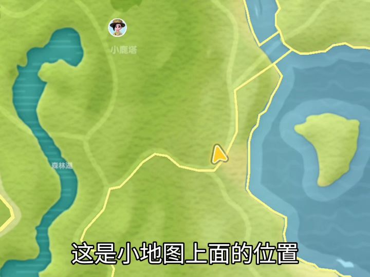 11月21日彩虹朵朵位置和彩虹花位置截图