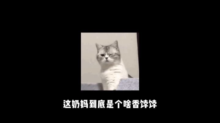 奶妈现在是香饽饽,高端局输出奶妈轻松带飞队友!截图