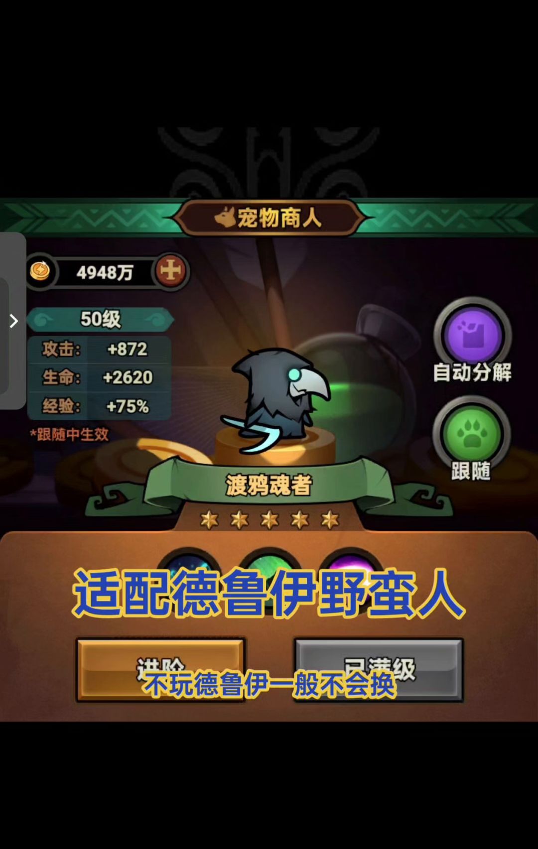宠物截图
