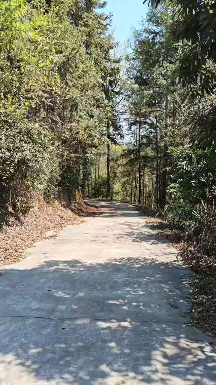 大山里的水泥路截图