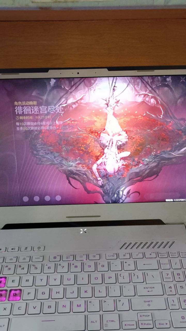 和椿一起看日出,一起见证我们的圆满截图