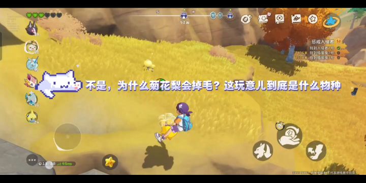 菊花梨是会掉毛的吗?话说掉下的毛为什么不会闪光?截图
