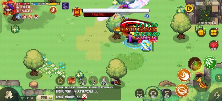 战士一个技能五十亿伤害截图