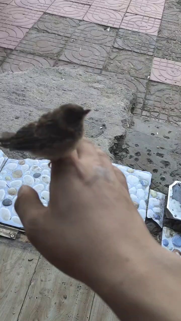 我想问问截图
