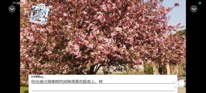 向心力截图