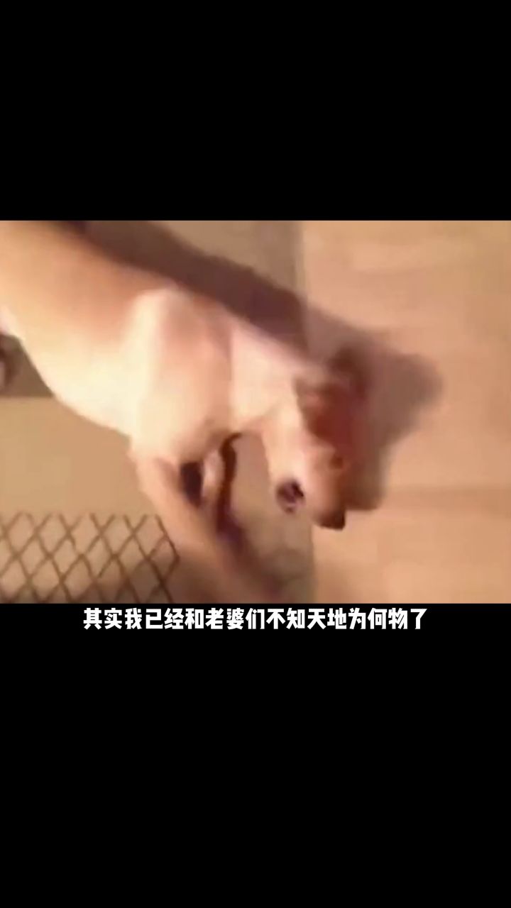 兄弟别眼馋了,这些都是我老婆~截图