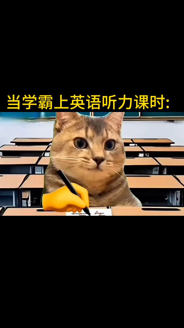 上课时听听力截图