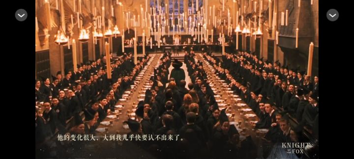 【HP】狐狸骑士截图
