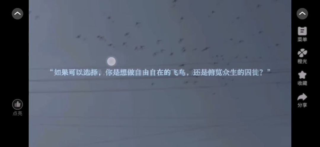 video-5090765