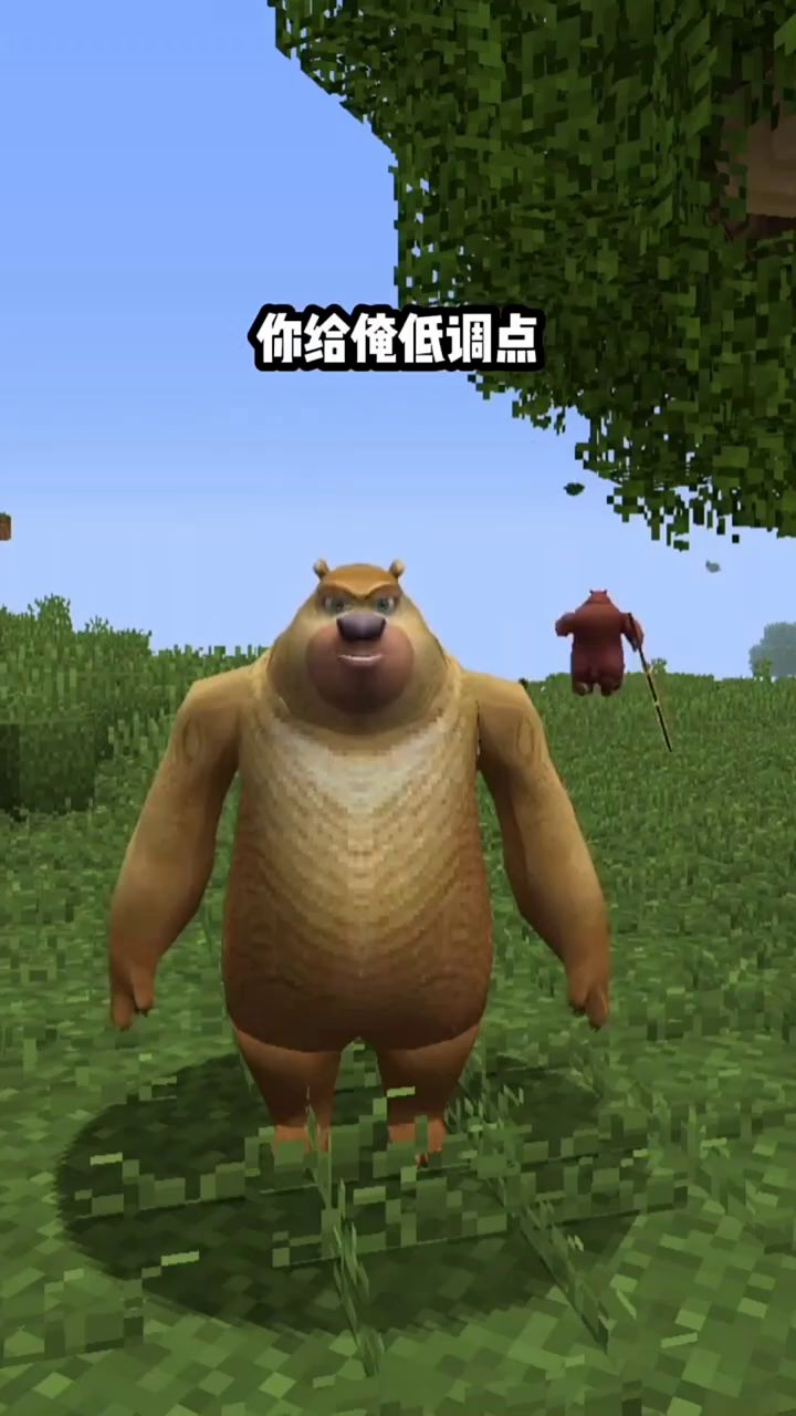 MC截图