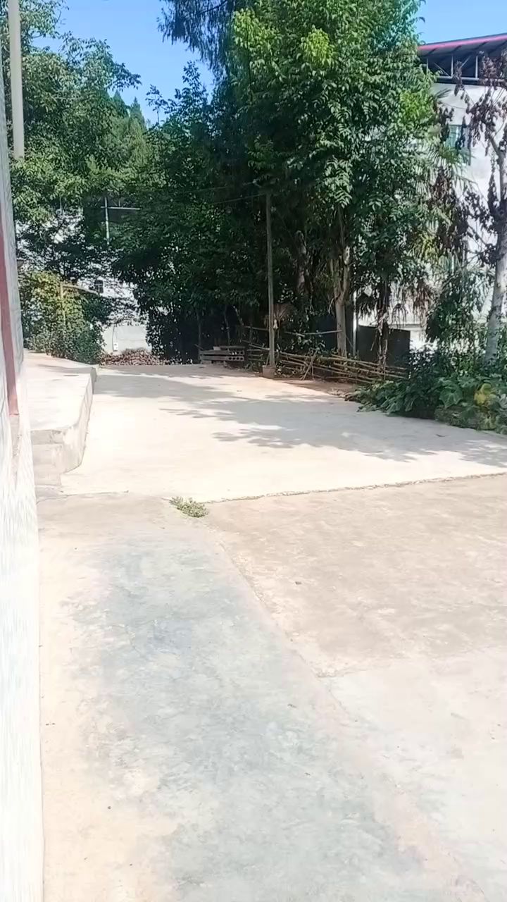 补习班我爸：截图