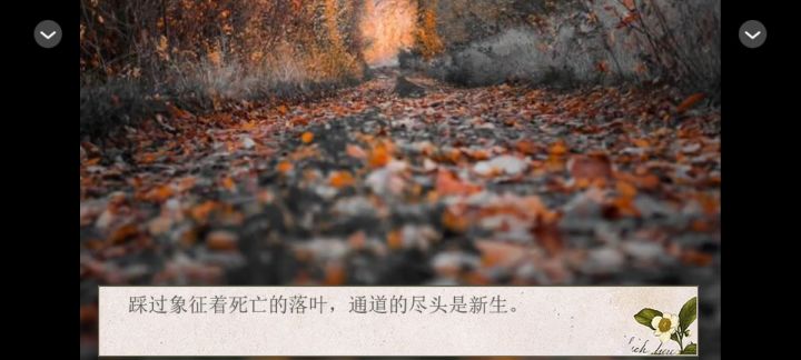 魔王的夜莺截图