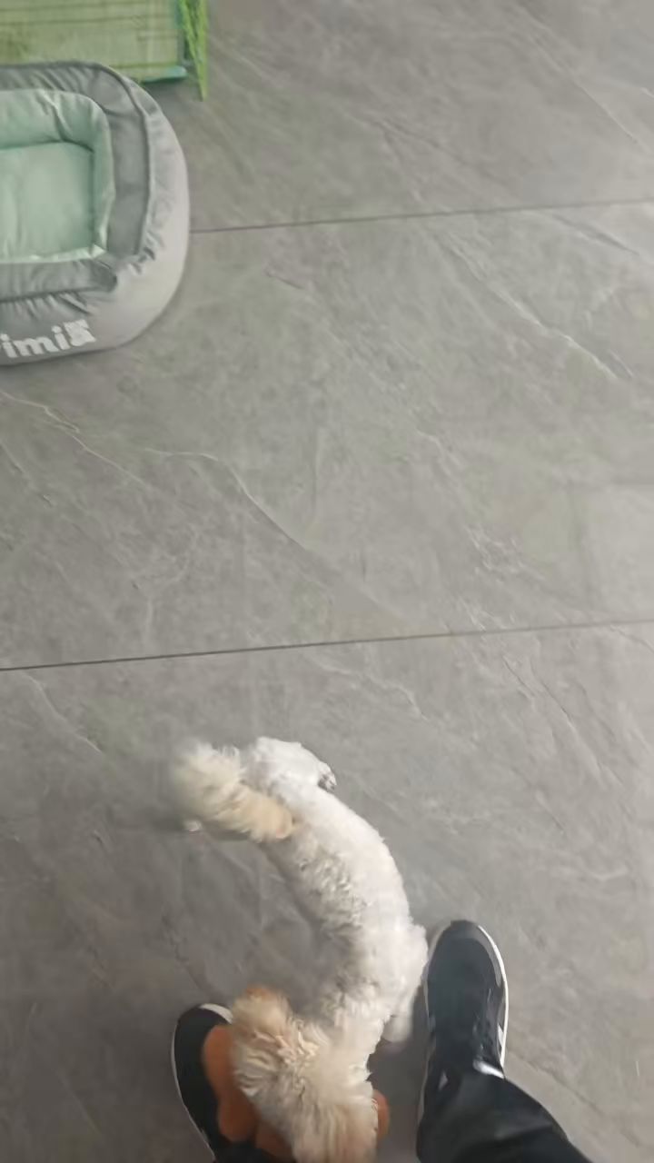 分享截图
