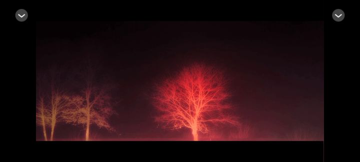 我们共生篇截图