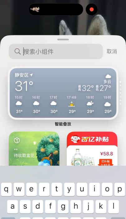 如何把猫猫添加到屏幕上截图