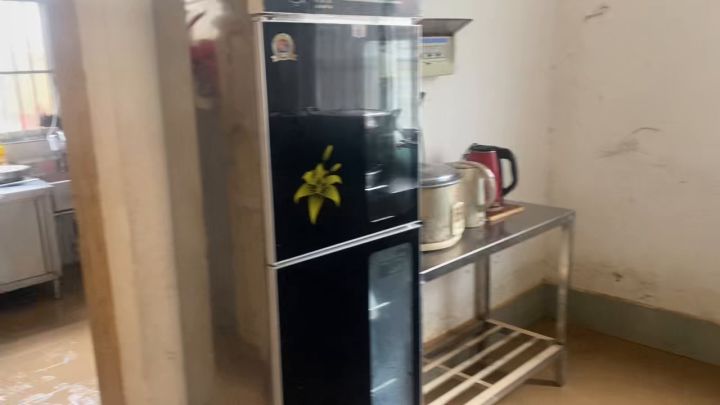 水灾带来的灾难截图