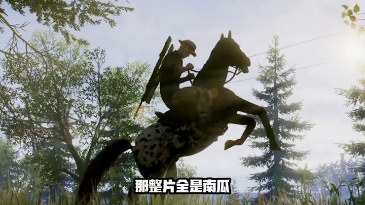 南瓜基地上千南瓜玉米截图