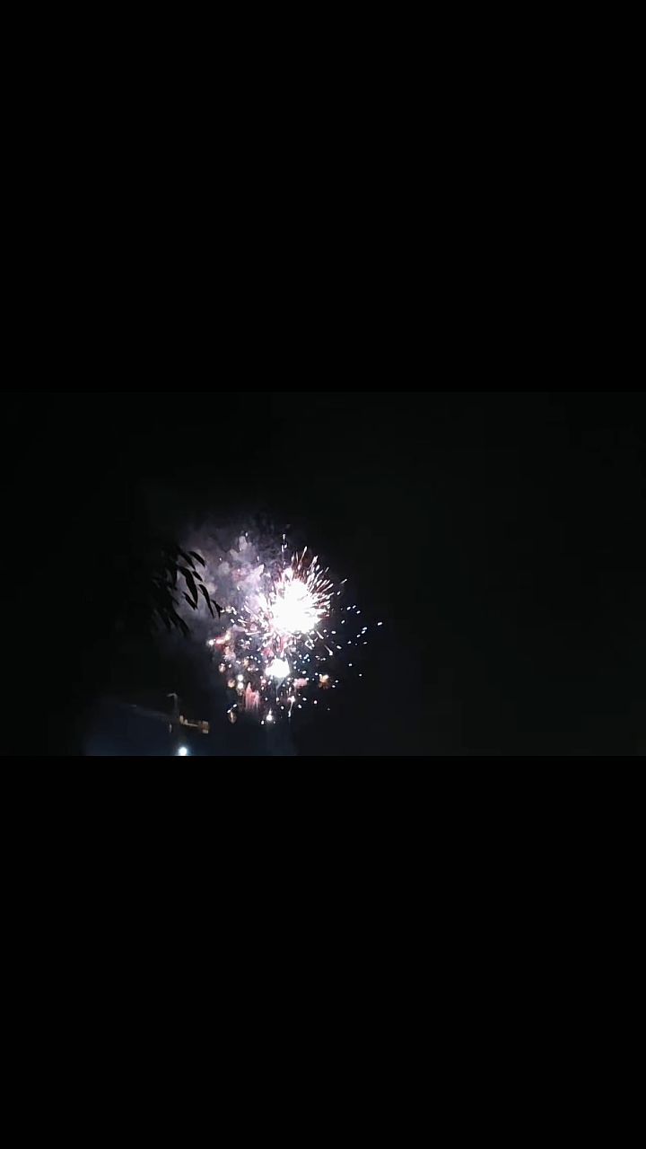遇你 如烟花映天下 可烟花一瞬而过 你也是截图