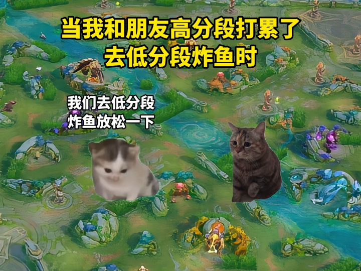当你和朋友去低分段炸鱼时截图