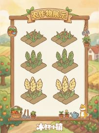 农作物展示丨小麦🌾