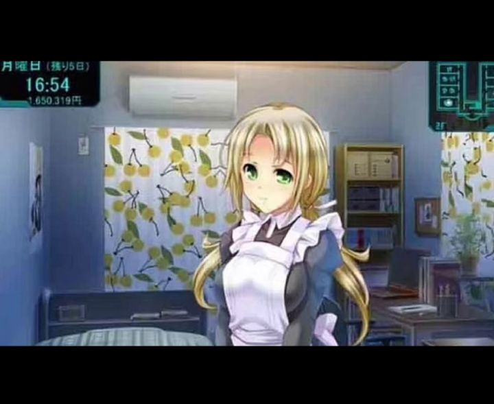 [SLG/汉化/PC+安卓]自宅警备员1+2 灰原家的血族 +全cg存档[2.3G]截图