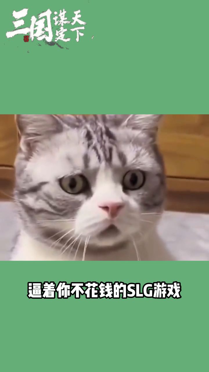 颠覆传统slg游戏,开创不一样的新玩法截图