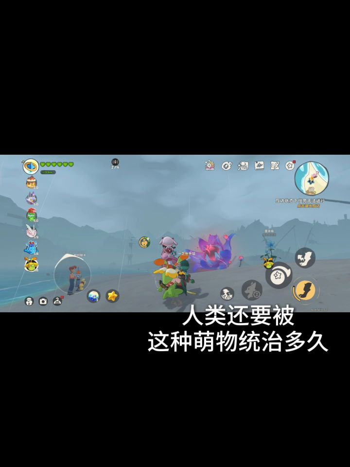 以防你们没看过奇丽草的同乘截图