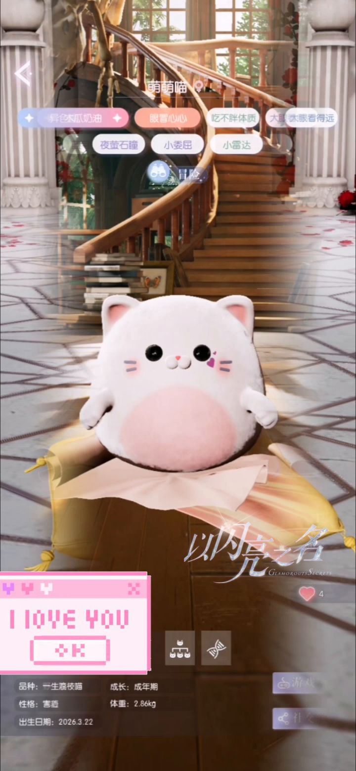 以闪亮之名萌宠荔枝喵截图