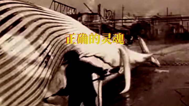 《世末终巡》首曝预告 在世界终结后的遗世孤岛 由你决定谁能存活截图