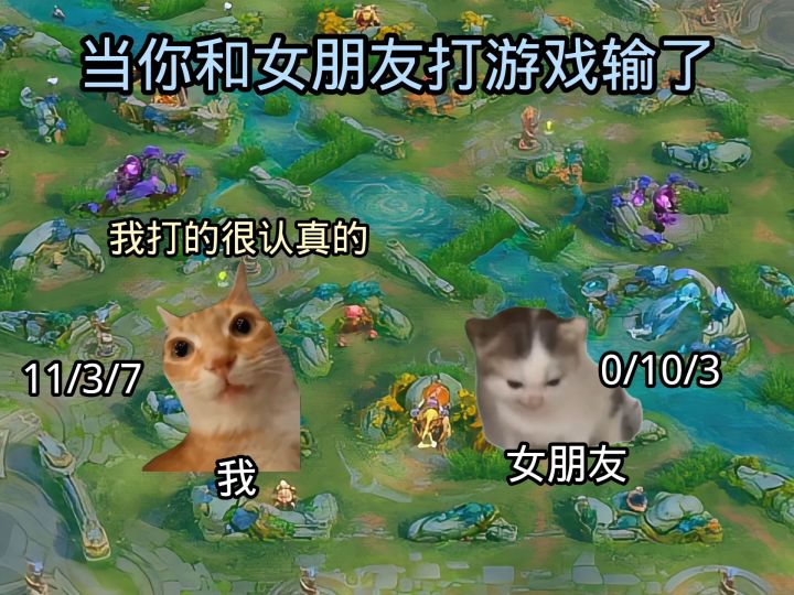 当你和女朋友打游戏输了截图