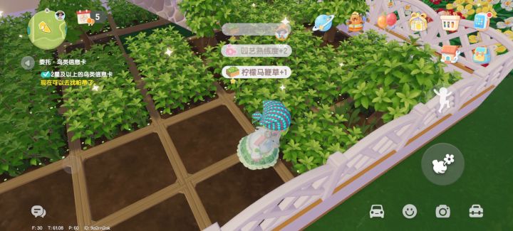 关于心动小镇的那些二三事截图