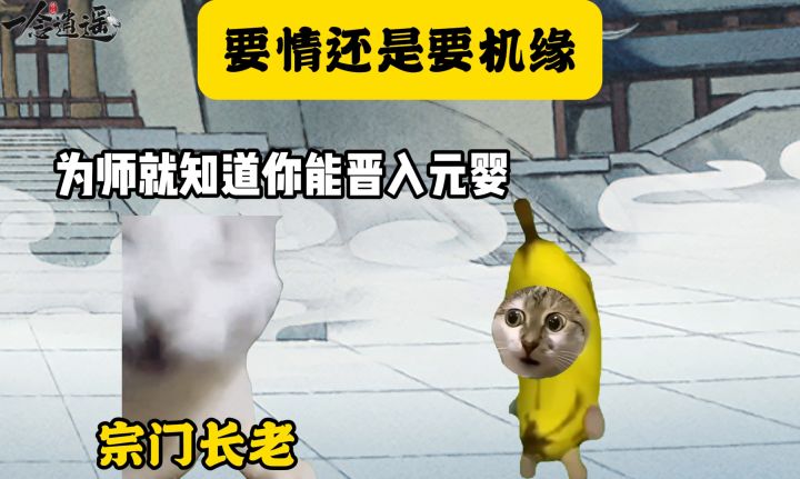 要情还是要机缘截图