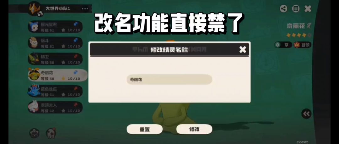video-5698419
