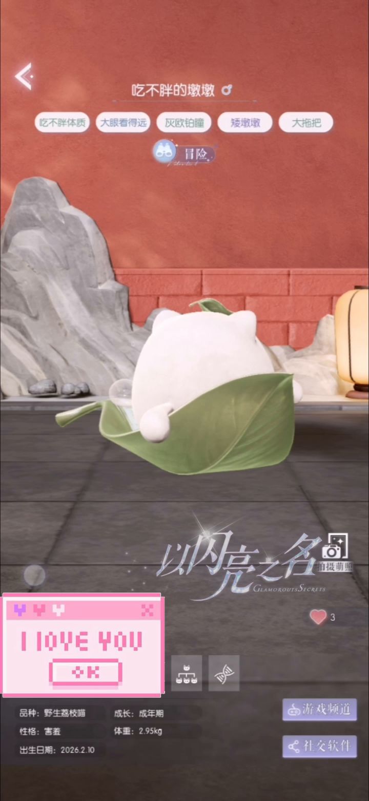 多巴胺色彩&可爱萌的荔枝喵截图