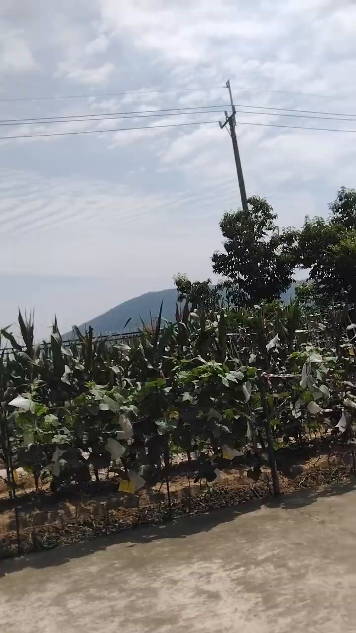 神坡农二的快乐生活故事美食生活之旅新篇章新世代第1季第22期截图
