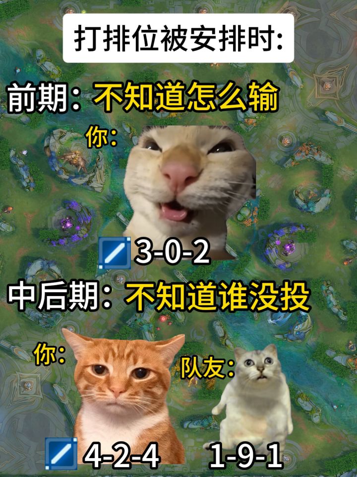 打排位被安排时截图